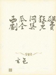 西瓜网狂飙电视剧全集免费播放