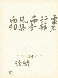 向风而行电视剧40集全部免费观看