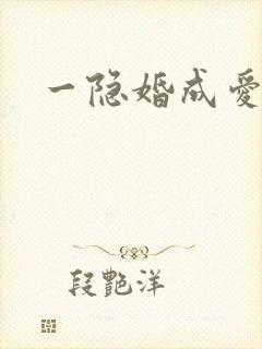 一隐婚成爱