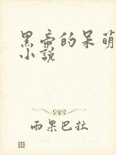 黑帝的呆萌妻 小说