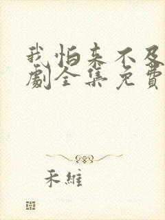 我怕来不及电视剧全集免费观看封面