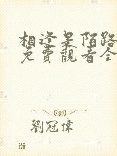 相逢是陌路短剧免费观看全集