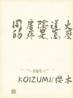 同房阴道火辣辣的疼是怎么回事封面