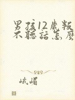 男孩12岁叛逆不听话怎么办封面