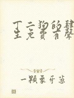 丁二狗的肆意人生免费有声音小说