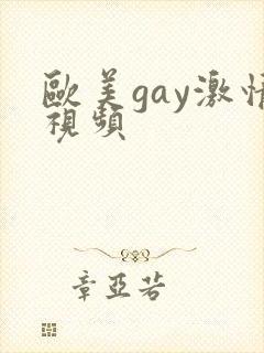 欧美gay激情视频