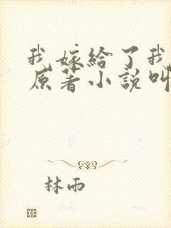 我嫁给了我儿子原著小说叫什么