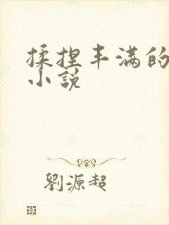 揉捏丰满的乳房小说