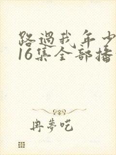 路过我年少时光16集全部播放