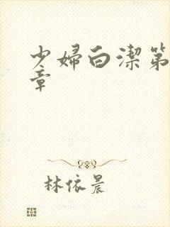 少妇白洁第十一章