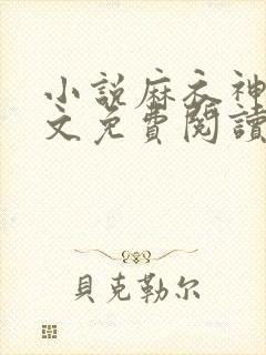 小说麻衣神婿全文免费阅读