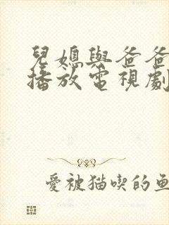 儿媳与爸爸免费播放电视剧在线观看