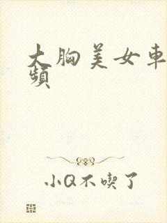 大胸美女车模视频