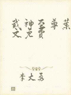 武神至尊叶风全文免费