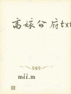 高嫁公府txt