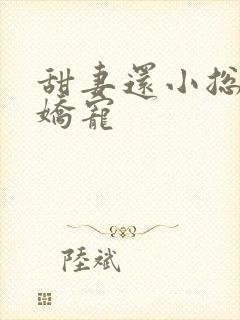 甜妻还小总裁需娇宠封面