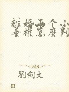 离婚两个小孩抚养权怎么判