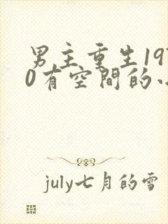 男主重生1970有空间的小说封面