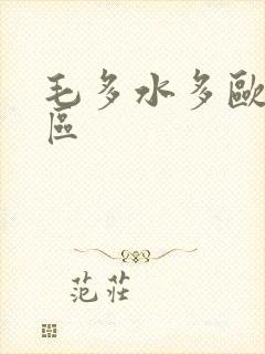 毛多水多欧美一区