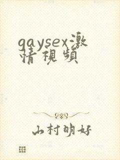gaysex激情视频