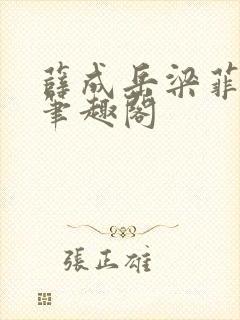 薛成岳梁菲小说笔趣阁