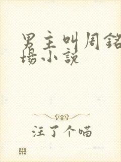 男主叫周铭的职场小说