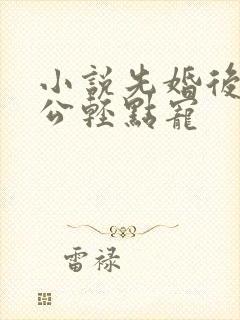 小说先婚后爱老公轻点宠