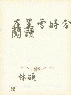 在暴雪时分小说阅读