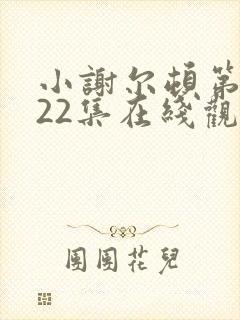 小谢尔顿第三季22集在线观看