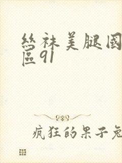 丝袜美腿国产一区91封面