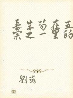 长生苟在五大仙宗之一里的小说封面