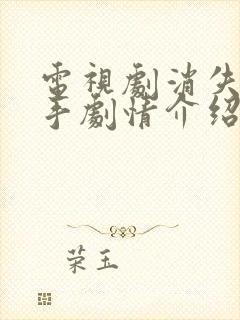 电视剧消失的凶手剧情介绍封面