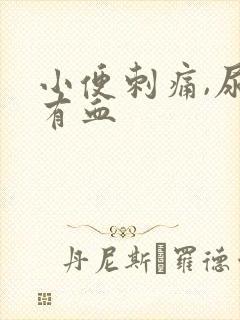 小便刺痛,尿里有血