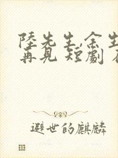 陆先生,余生不再见 短剧 在线观看