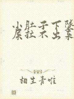 小肚子下坠想拉屎拉不出来怎么回事