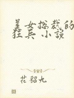 美女总裁的极品狂兵 小说封面