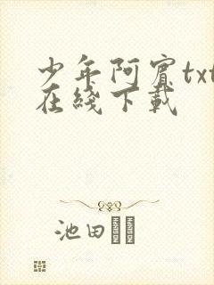 少年阿宾txt在线下载