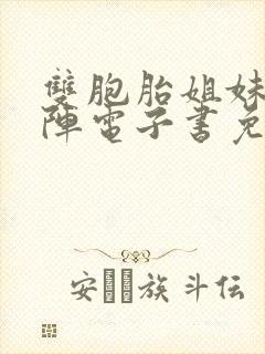 双胞胎姐妹齐上阵电子书免费阅读