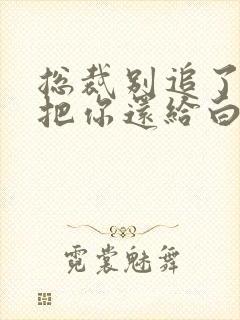 总裁别追了替身把你还给白月光了封面