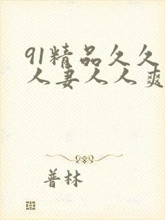 91精品久久人人妻人人爽人人