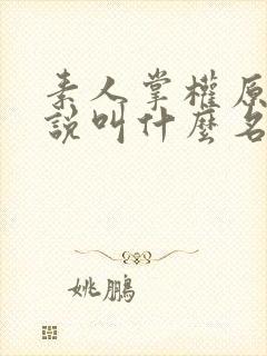 素人掌权原著小说叫什么名字