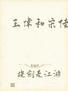 王伟和宋佳封面