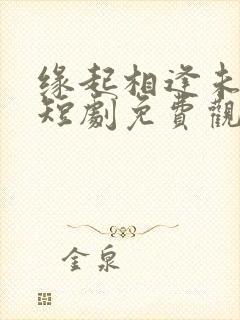 缘起相逢未识时短剧免费观看全集