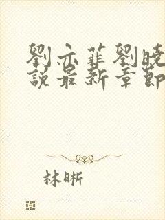 刘亦菲刘晓莉小说最新章节更新