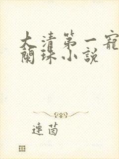 大清第一宠妃海兰珠小说