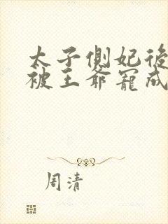 太子侧妃后,我被王爷宠成宝最新章节