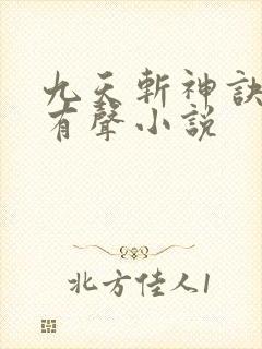 九天斩神诀林辰有声小说封面