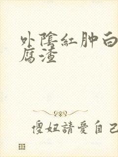 外阴红肿白色豆腐渣封面