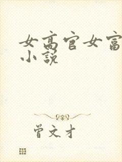 女高官女富婆的小说封面