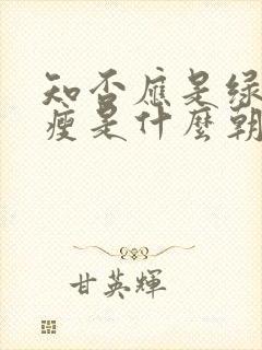 知否应是绿肥红瘦是什么朝代